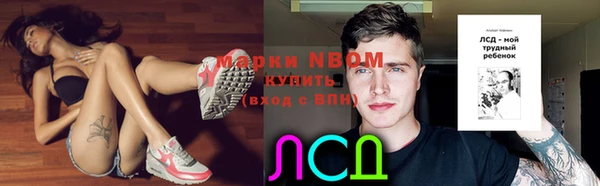 мяу мяу мука Баксан
